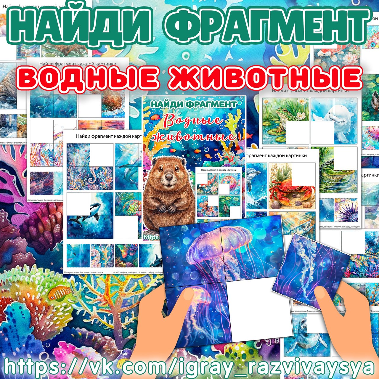 НАЙДИ ФРАГМЕНТ ВОДНЫЕ ЖИВОТНЫЕ — водные животные — для детского сада — Играй и Развивайся