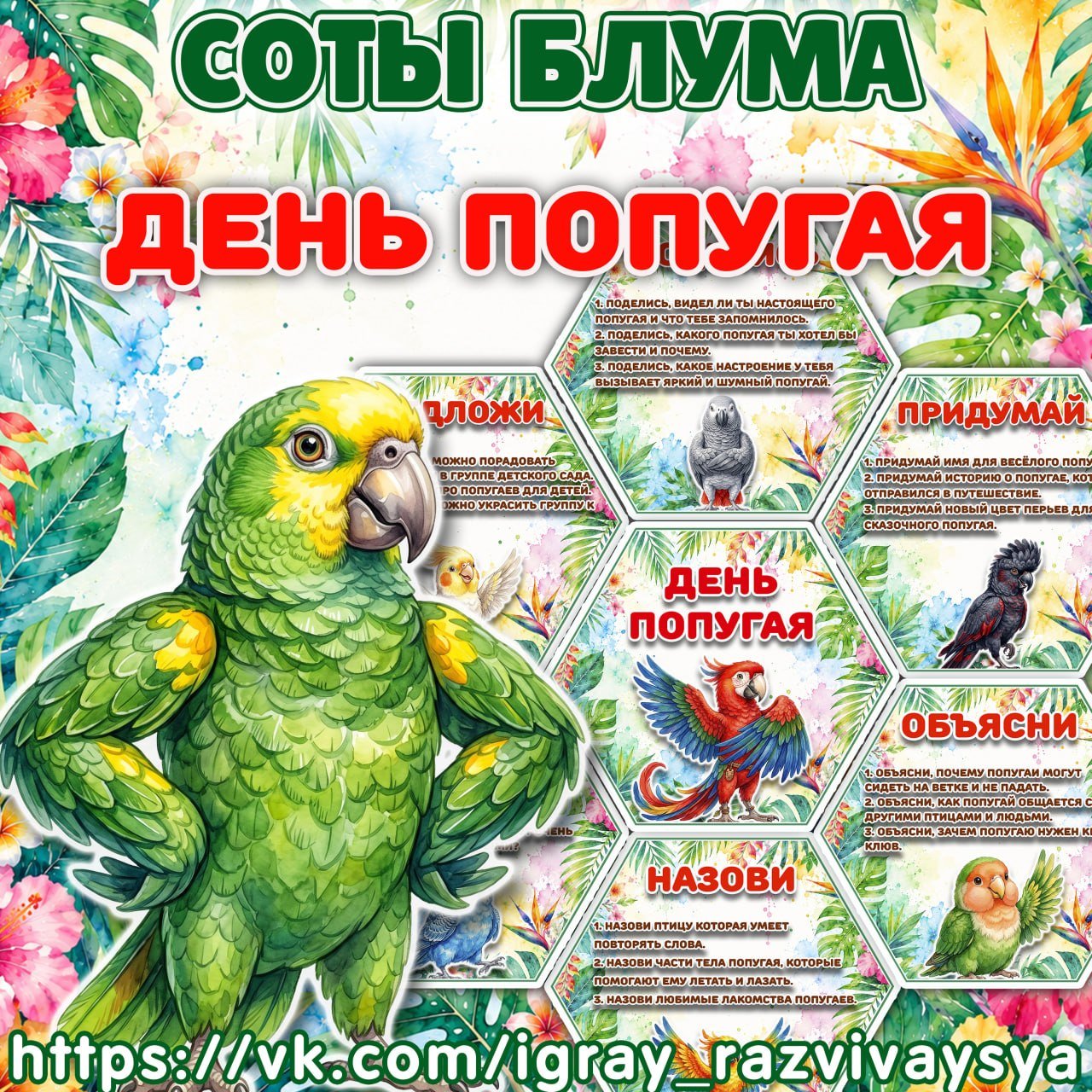 СОТЫ БЛУМА ПОПУГАИ — соты Блума, попугаи, таксономия Блума — для детского сада — Играй и Развивайся