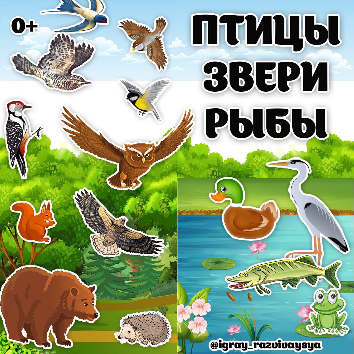 ПТИЦЫ ЗВЕРИ РЫБЫ