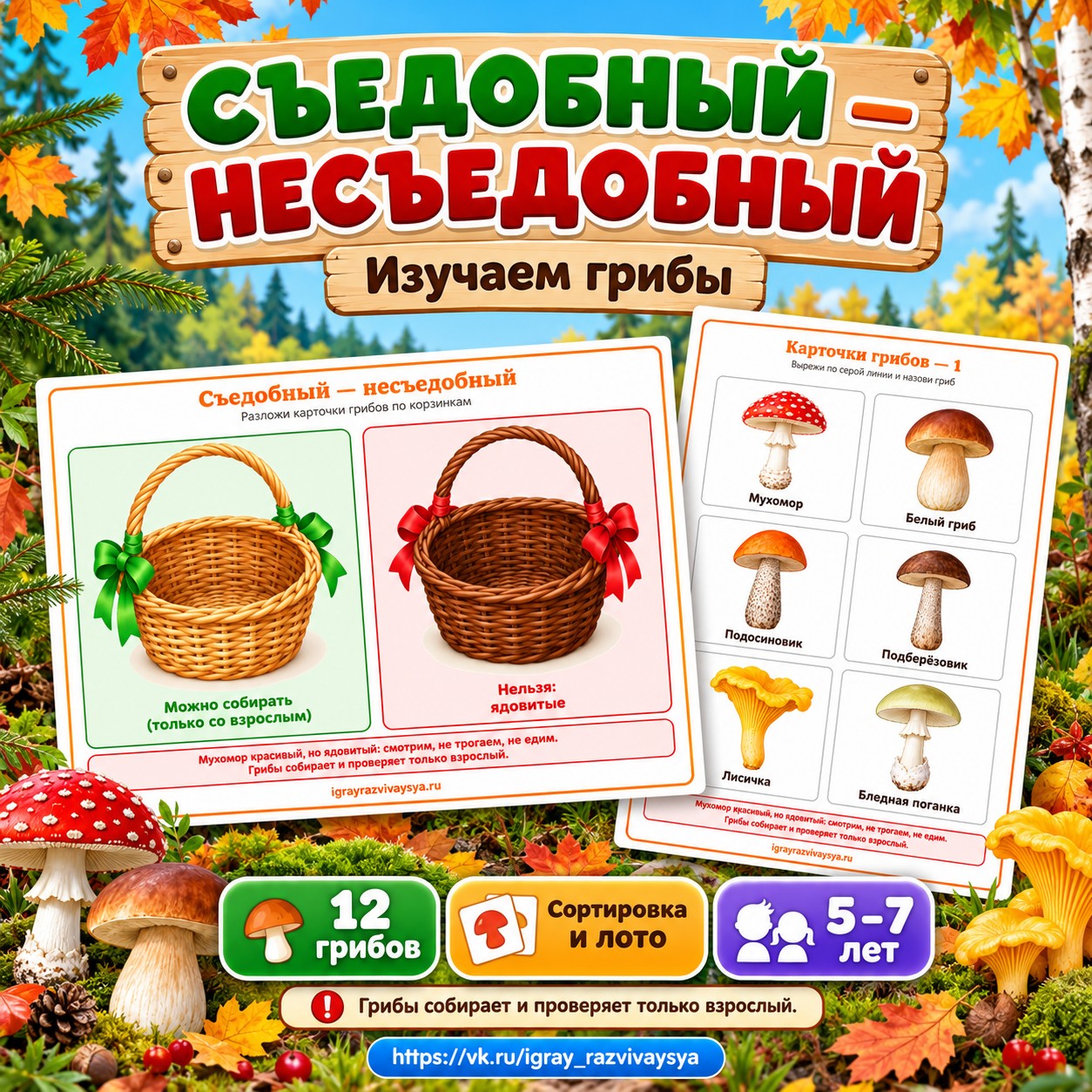 СЪЕДОБНЫЙ — НЕСЪЕДОБНЫЙ — грибы, ягоды, безопасность — скачать для детского сада