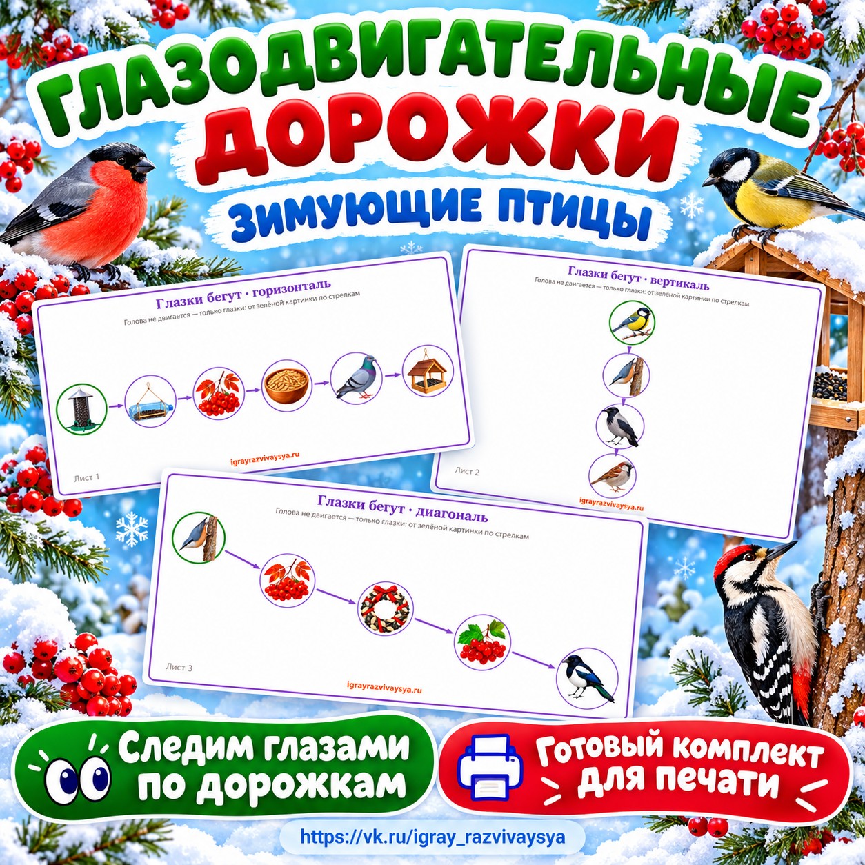 ГЛАЗОДВИГАТЕЛЬНЫЕ ДОРОЖКИ ЗИМУЮЩИЕ ПТИЦЫ — зима, зимующие птицы, птицы — скачать для детского сада