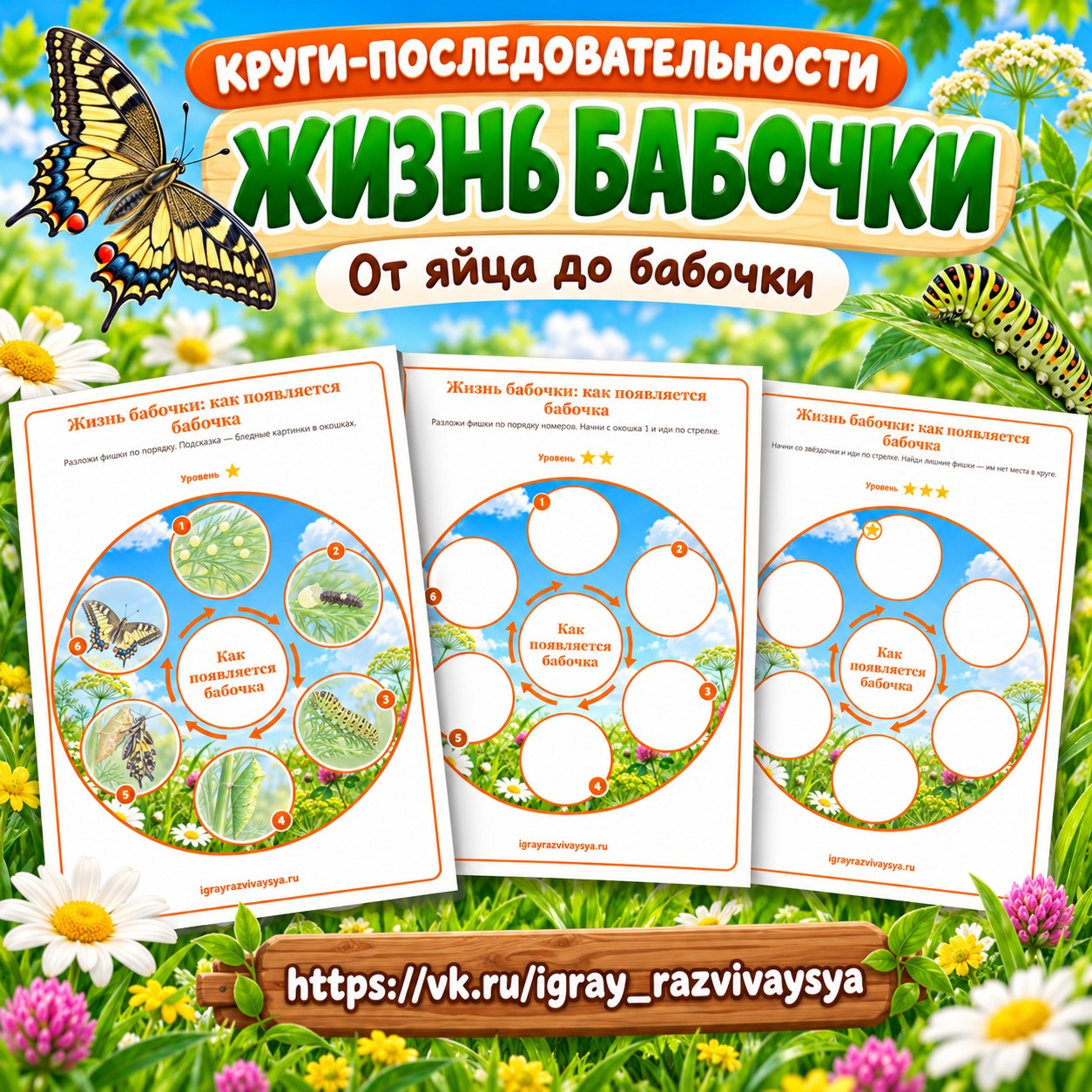 КРУГИ-ПОСЛЕДОВАТЕЛЬНОСТИ ЖИЗНЬ БАБОЧКИ — 4-5 лет, 5-7 лет — скачать для детского сада