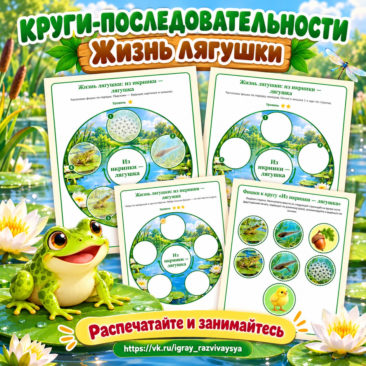 КРУГИ-ПОСЛЕДОВАТЕЛЬНОСТИ ЖИЗНЬ ЛЯГУШКИ — 4-5 лет, 5-7 лет — скачать для детского сада