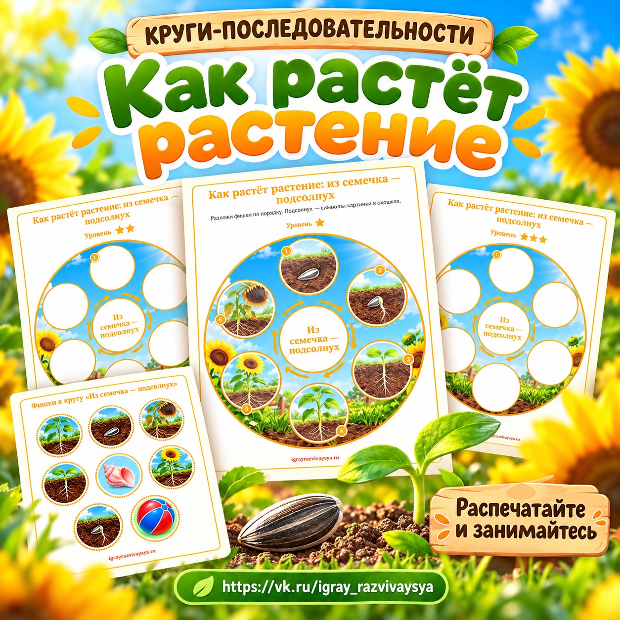 КРУГИ-ПОСЛЕДОВАТЕЛЬНОСТИ КАК РАСТЁТ РАСТЕНИЕ — 4-5 лет, 5-7 лет — скачать для детского сада
