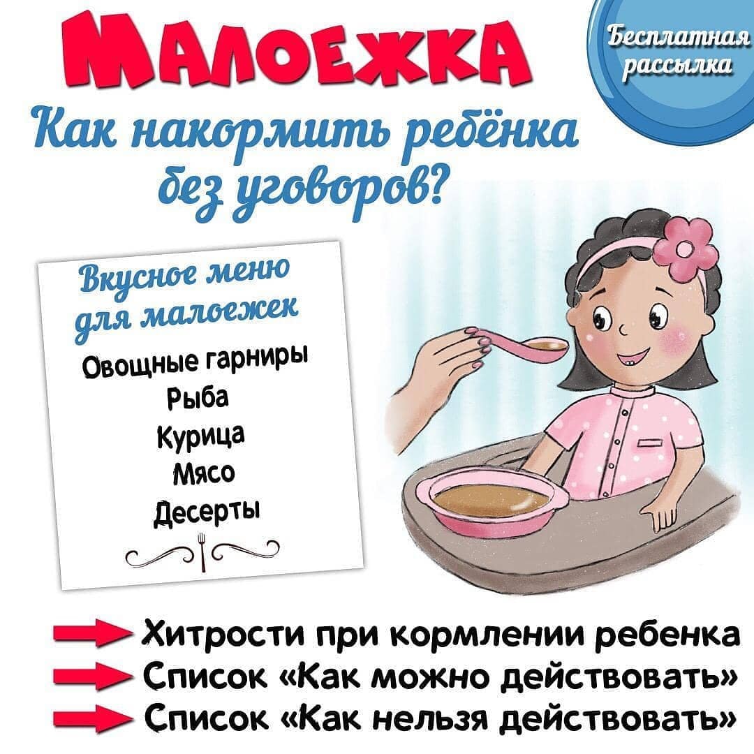 КАК НАКОРМИТЬ МАЛОЕЖКУ