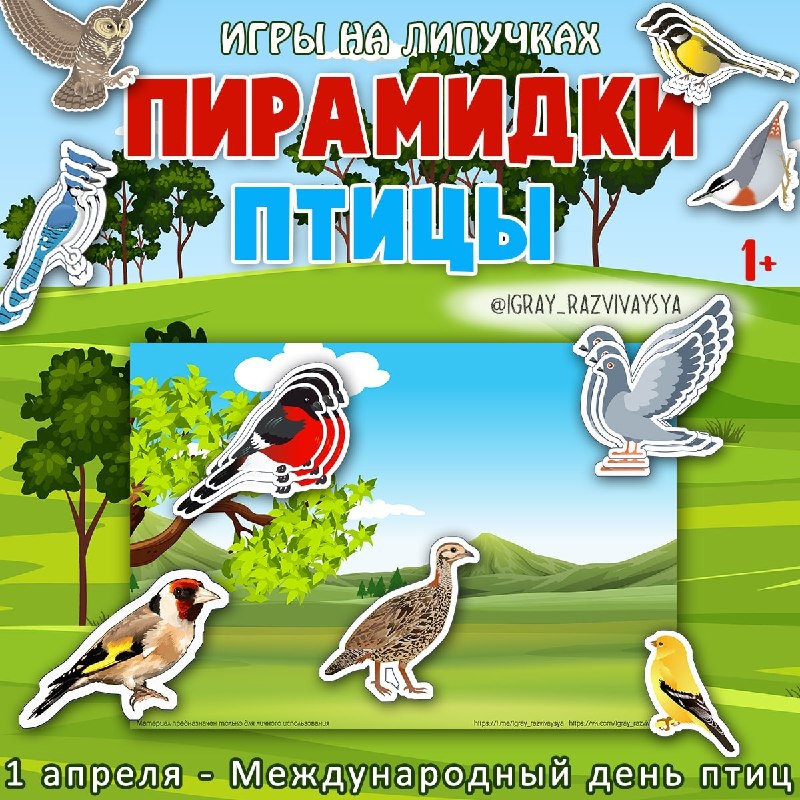 ПИРАМИДКИ ПТИЦЫ