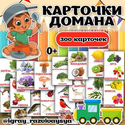 КАРТОЧКИ ДОМАНА