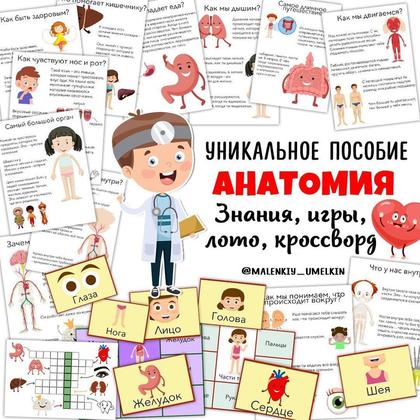 АНАТОМИЯ + ИГРЫ — анатомия, игры, карточки — для детского сада — Играй и Развивайся