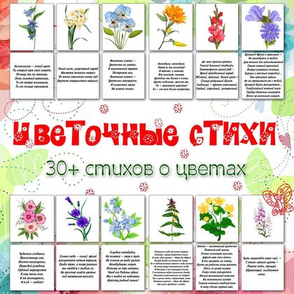 ЦВЕТЫ