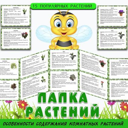 ПАПКА РАСТЕНИЯ