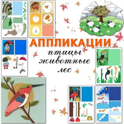 АППЛИКАЦИЯ ЛЕС