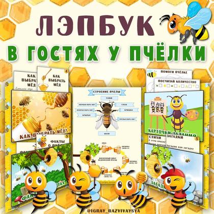 ЛЭПБУК В ГОСТЯХ У ПЧЁЛКИ — карточки, лэпбук, насекомые — для детского сада — Играй и Развивайся