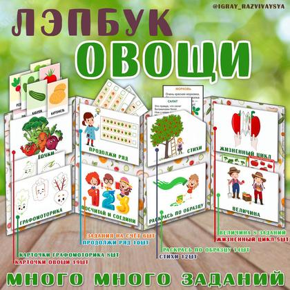 ЛЭПБУК ОВОЩИ — лэпбук, овощи — для детского сада — Играй и Развивайся