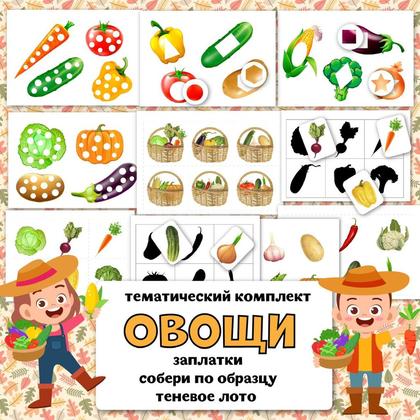ТК ОВОЩИ