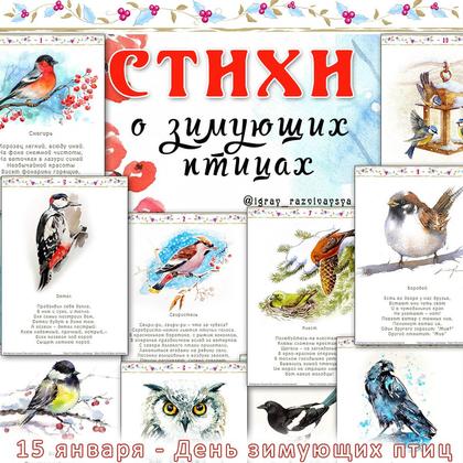 СТИХИ О ЗИМУЮЩИХ ПТИЦАХ