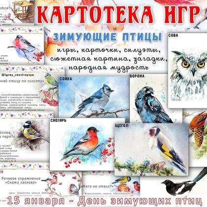 КАРТОТЕКА ИГР ЗИМУЮЩИЕ ПТИЦЫ — загадки, зимующие птицы, игры — для детского сада — Играй и Развивайся