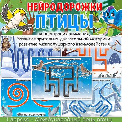 НЕЙРОДОРОЖКИ ЗИМ ПТИЦЫ — внимание, зимующие птицы, логика — для детского сада — Играй и Развивайся