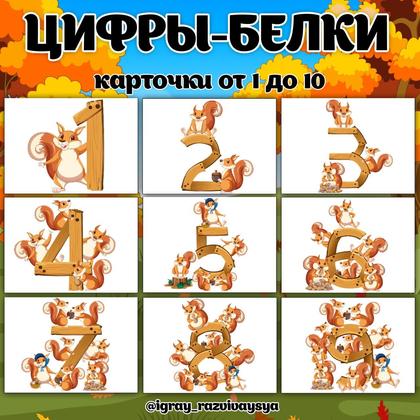 ЦИФРЫ БЕЛКИ