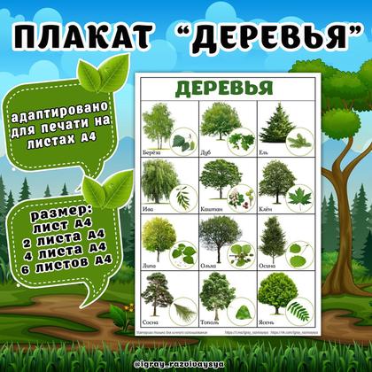 ПЛАКАТ ДЕРЕВЬЯ
