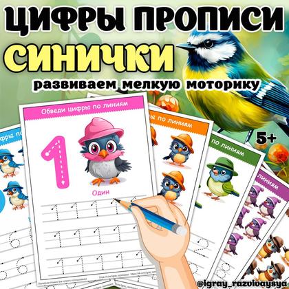 ЦИФРЫ ПРОПИСИ СИНИЧКИ — зимующие птицы, математика, мелкая моторика — для детского сада — Играй и Развивайся
