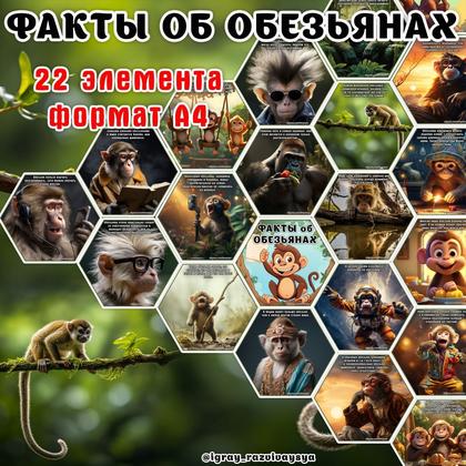 ФАКТЫ ОБ ОБЕЗЬЯНАХ