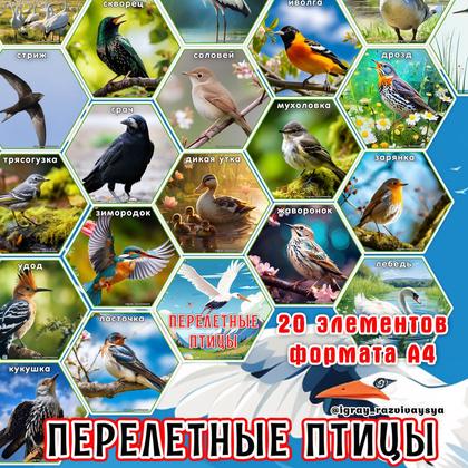 СТЕНД ПЕРЕЛЕТНЫЕ ПТИЦЫ — перелетные птицы, птицы, соты — для детского сада — Играй и Развивайся