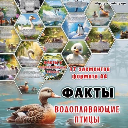 СТЕНД ВОДОПЛАВАЮЩИЕ ПТИЦЫ