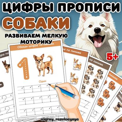 ЦИФРЫ ПРОПИСИ СОБАКИ