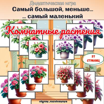 ОТ САМОГО БОЛЬШОГО К САМОМУ МАЛЕНЬКОМУ КОМНАТНЫЕ РАСТЕНИЯ