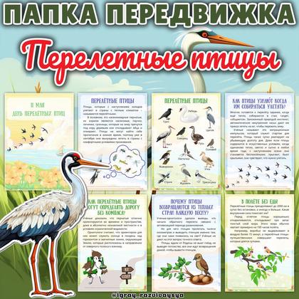ПАПКА ПЕРЕДВИЖКА ПЕРЕЛЕТНЫЕ ПТИЦЫ — 1-2 класс, папка передвижка, перелетные птицы — для детского сада — Играй и Развивайся
