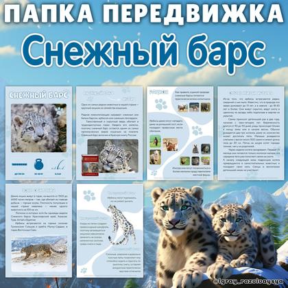 ПАПКА ПЕРЕДВИЖКА СНЕЖНЫЙ БАРС
