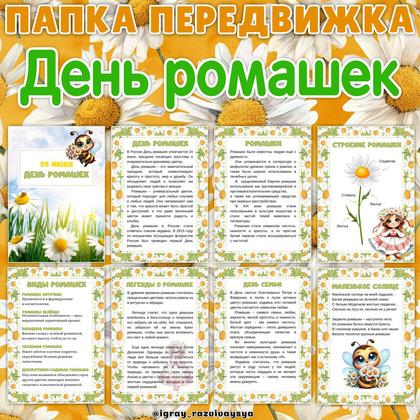 ПАПКА ПЕРЕДВИЖКА РОМАШКИ