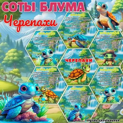 СОТЫ БЛУМА ЧЕРЕПАХИ — блум, животные, карточки — для детского сада — Играй и Развивайся