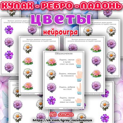 КУЛАК РЕБРО ЛАДОНЬ ЦВЕТЫ