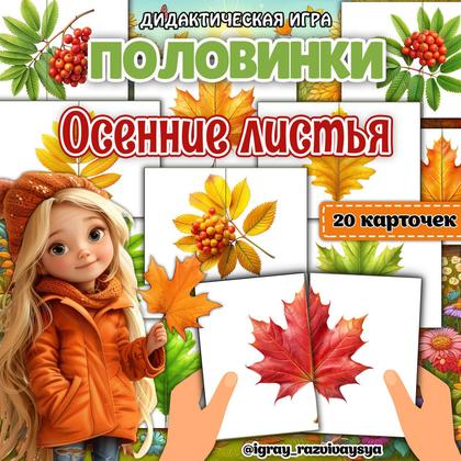 ПОЛОВИНКИ ОСЕННИЕ ЛИСТЬЯ — внимание, дидактические игры, карточки — для детского сада — Играй и Развивайся