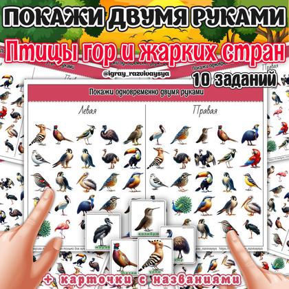 ПОКАЖИ ДВУМЯ РУКАМИ ПТИЦЫ ГОР И ЖАРКИХ СТРАН