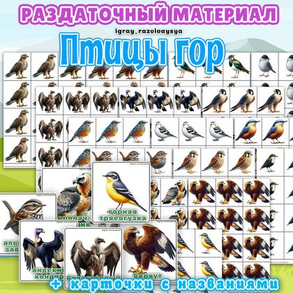 РАЗДАТОЧНЫЙ МАТЕРИАЛ ПТИЦЫ ГОР