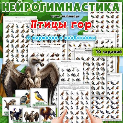 НЕЙРОГИМНАСТИКА ПТИЦЫ ГОР