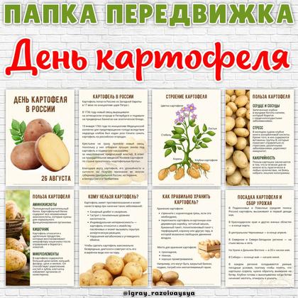 ПАПКА ПЕРЕДВИЖА ДЕНЬ КАРТОФЕЛЯ