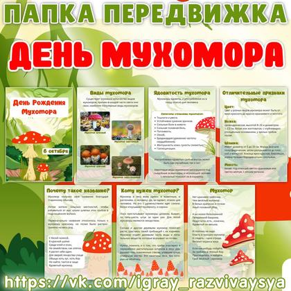 ПАПКА ПЕРЕДВИЖКА МУХОМОР