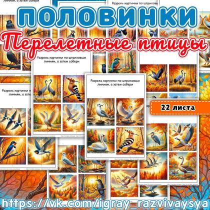 ПОЛОВИНКИ ПЕРЕЛЕТНЫЕ ПТИЦЫ — внимание, дидактические игры, карточки — для детского сада — Играй и Развивайся
