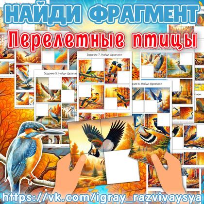 НАЙДИ ФРАГМЕНТ ПЕРЕЛЕТНЫЕ ПТИЦЫ