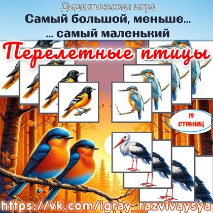 ОТ САМОГО БОЛЬШОГО К САМОМУ МАЛЕНЬКОМУ ПЕРЕЛЕТНЫЕ ПТИЦЫ