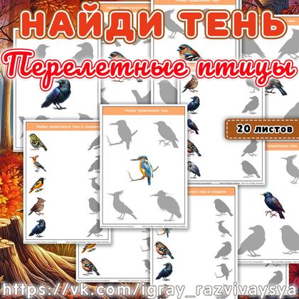 НАЙДИ ТЕНЬ ПЕРЕЛЕТНЫЕ ПТИЦЫ