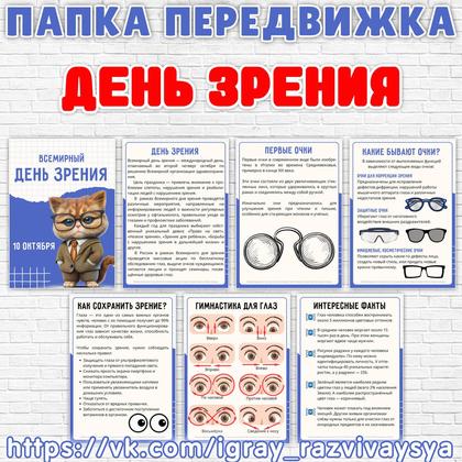 ПАПКА ПЕРЕДВИЖКА ДЕНЬ ЗРЕНИЯ