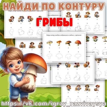 НАЙДИ ПО КОНТУРУ ГРИБЫ