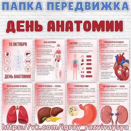 ПАПКА ПЕРЕДВИЖКА ДЕНЬ АНАТОМИИ