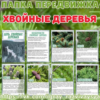 ПАПКА ПЕРЕДВИЖКА ДЕНЬ ХВОЙНЫХ ДЕРЕВЬЕВ