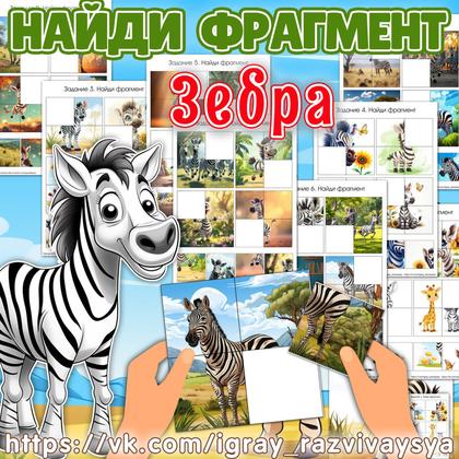 НАЙДИ ФРАГМЕНТ ЗЕБРА