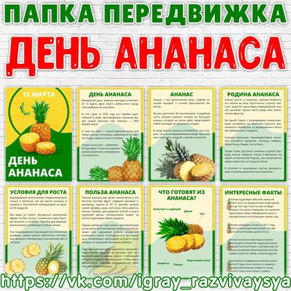 ПАПКА ПЕРЕДВИЖКА ДЕНЬ АНАНАСА